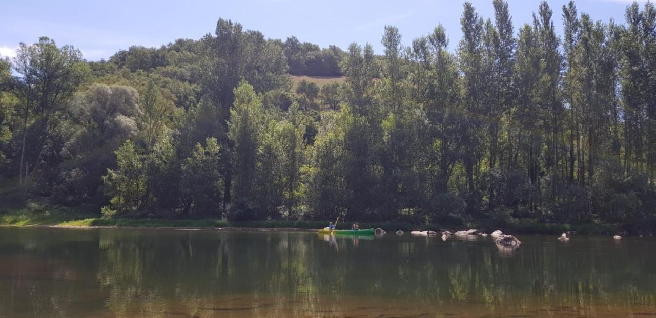 Les Gites Du Rocher Et De La Boucle Du Tarn Ambialet Exteriér fotografie